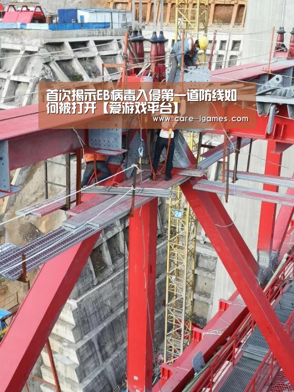 首次揭示EB病毒入侵第一道防线如何被打开【爱游戏平台】(图3) 爱游戏体育全站