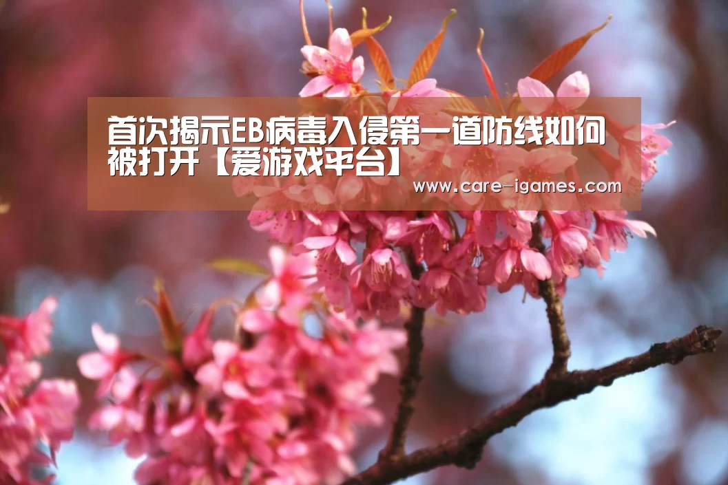 首次揭示EB病毒入侵第一道防线如何被打开【爱游戏平台】(图4) 爱游戏app