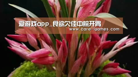 爱游戏app_食欲欠佳中脘开胃(图1) 爱游戏体育全站