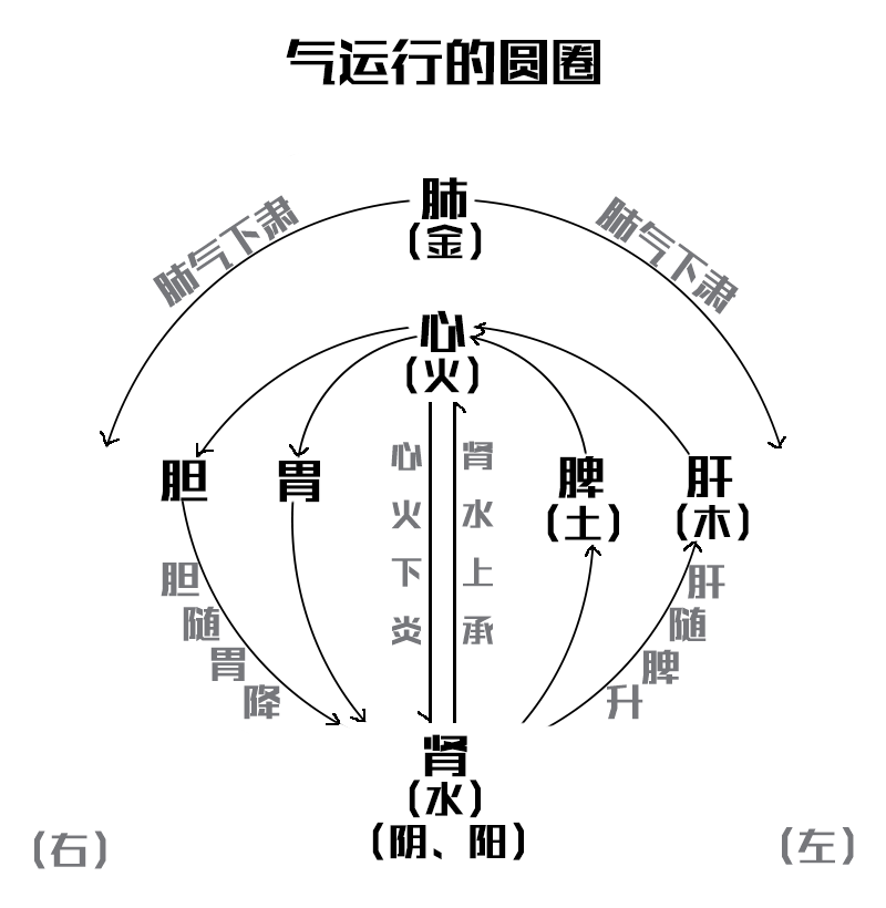 【爱游戏体育全站】健康美食:豇豆炒虾皮、猪肚排骨煲、素彩玉柳、椒香鱼排的做法(图2) 爱游戏体育全站