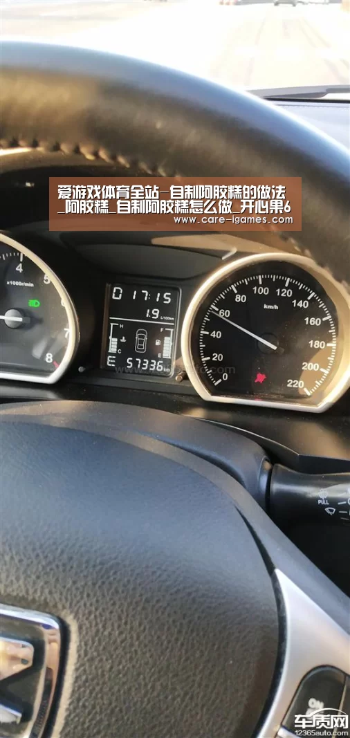 爱游戏体育全站-自制阿胶糕的做法_阿胶糕_自制阿胶糕怎么做_开心果6207的菜谱(图1)